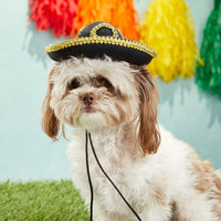 Mini Dog Sombrero Party Hat for Cinco De Mayo, Small Pet Fiesta Costume (Black)