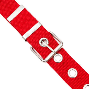 Grommet Belt for Women, Canvas, Black + Red (51 x 1.5 In, 2 Pack)